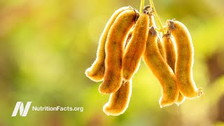 Treating Parkinson’s Disease with Velvet Beans Mucuna pruriens [upl. by Delmar]