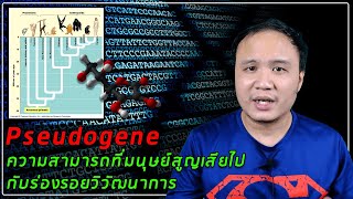 Genome EP06  Pseudogene ยีนเทียม ความสามารถที่มนุษย์สูญเสียไป กับร่องรอยวิวัฒนาการ [upl. by Aitnuahs]