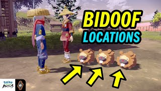 ALL Bidoof Locations Request 8 Bothersome Bidoofs Walkthrough  Pokemon Legends Arceus [upl. by Iinden135]