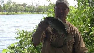 Boatless Angler  Techniques on How to Fish Under a Bridge from Shore [upl. by Adnol]