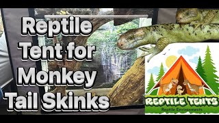 Setting up a Reptile Tent for my Monkey Tail Skinks [upl. by Vaish571]