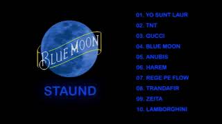 STAUND  BLUE MOON [upl. by Grenville945]