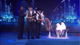 HD Olate Dogs  Semi finals  Americas Got Talent 2012 [upl. by Llessur]