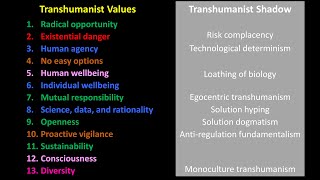 The Transhumanist Shadow [upl. by Llenehs112]