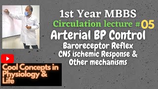 51stYR MBBS Physiology CIRCULATION Arterial BP Control Baroreceptor Reflex CNS ischemic Response [upl. by Aelhsa]