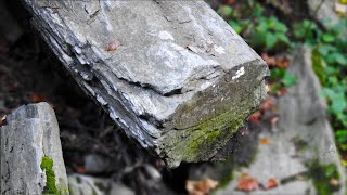 Gigantic Petrified Trees And Stone Wood Ruins Along River [upl. by Anael]