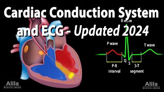 Cardiac Conduction System and Understanding ECGEKG  Updated 2024 Animation [upl. by Lotti]