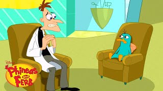 Dr Doofenshmirtz and Perry Go to Therapy  Phineas and Ferb  Disney XD [upl. by Thenna125]