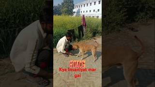 Insan se wafadar ek dog hoshorts youtubeshorts trending viralshorts short [upl. by Sellig]