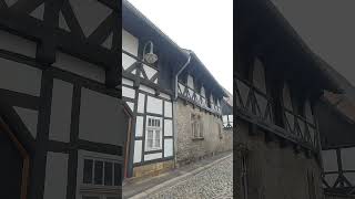 GOSLAR Secrets Revealed in 24 Hours [upl. by Delinda790]