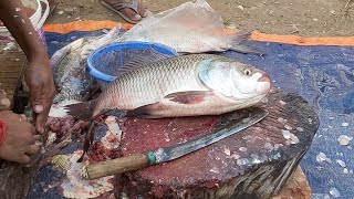 Incredible Big Rohu Fish Cutting Skills In Fish Market  Fish Cutting Skills  FishCuttingMarket [upl. by Klaus]