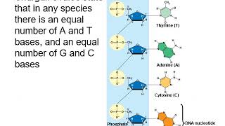 Cell Molec Lecture 14 1D [upl. by Idorb]