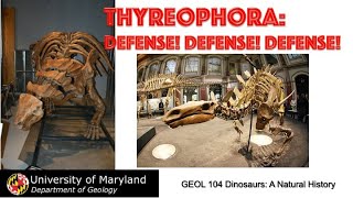 Lecture 17 Thyreophora Defense Defense DEFENSE [upl. by Bibeau536]