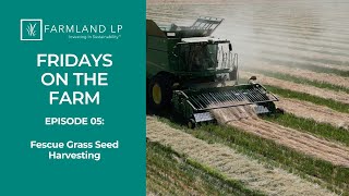 Tall Fescue Harvest amp Soil Health Benefits  Fridays on the Farm Episode 5 [upl. by Bertle700]