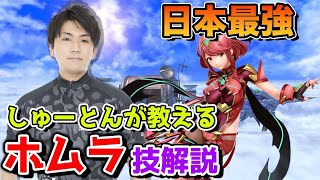 【スマブラSP】ホムヒカで勝つなら必ず見たい『ホムラ』技解説【スマブラ スイッチ】 [upl. by Liagabba]