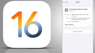 IOS 16 no IPhone 7 Deu certo😱 Como baixar e instalar a versão beta [upl. by Sheela]