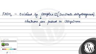 In the ETS FADH2 donates its electrons to 1 Complex I 2 Complex II 3 Complex III 4 Comp [upl. by Ailegna260]