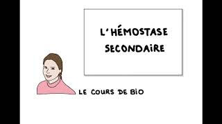 Hémostase secondaire [upl. by Yelsnya]