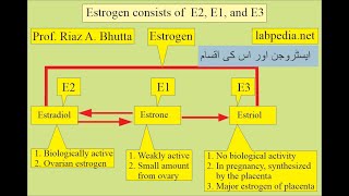 Estrogens interpretations by Prof Riaz A Bhutta labpedianet Urdu Hindi [upl. by Imehon512]