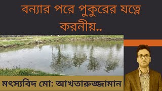 বন্যার পরে পুকুরের যত্নে করনীয় Pond maintenance after flood [upl. by Amlet]