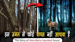 The story of Hoiabaciu forest  ये जंगल लोगो को खा जाता है by world facts [upl. by Gefen]