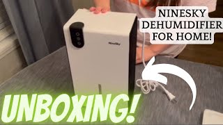 NineSky Dehumidifier Review The Best Home Dehumidifier for Humidity Control [upl. by Arleta198]