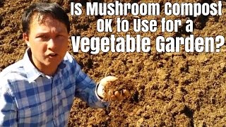 Is Mushroom Compost amp other Recycled Materials OK for a Vegetable Garden [upl. by Nimaj383]