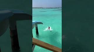 ERICK SCIVOLA DALLO SCIVOLO PIÙ ALTO NEL MARE DELLE MALDIVE DinsiemE Shorts [upl. by Rhyne337]