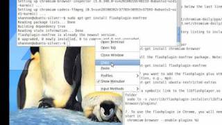 How to install Google Chromium with Flashplugin on Ubuntu 910 GNULinux [upl. by Nnairol]