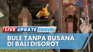 Wagub Bali Tindak Tegas Bule Telanjang saat Pentas Tari di Ubud Cok Ace Pemprov Awasi Ketat WNA [upl. by Einhapets580]