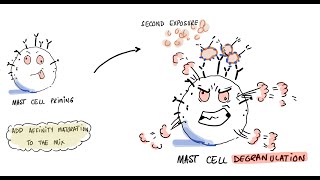 Vaccines Allergies and Polyethylene Glycol PEG [upl. by Babb814]