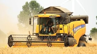 New Holland CX5080 and Ford 4600  Harvesting grain  Graanoogst  Getreideernte  Steyr  6140 [upl. by Stearns]