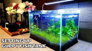 Setting Up Planted Guppy Aquarium [upl. by Atolrac928]