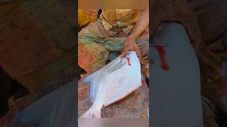 Big fish cutting skills fishcutting fishcuttingskills fishcuttingskills fishing fish shorts [upl. by Ternan]