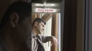 Özlü Sözler guneyozdemir güneyözdemir özlüsözler şiir şiirsel [upl. by Muriah]