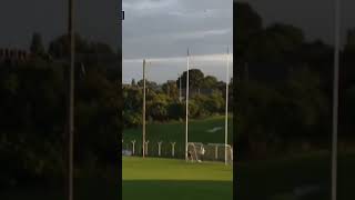 dublin gaa yt ytshorts ytstudio ytshort gaelic football ireland reels sports sport sub [upl. by Acnoib]