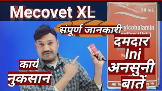 Vet Injection 👉 Mecovet XL Injection Veterinary uses hindi Mecovet xl injection price use Vets Club [upl. by Adrial]