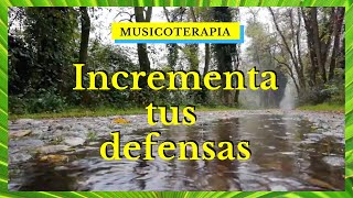 Musicoterapia para fortalecer tu sistema inmune y aumenta tus defensas 🎵🎵 [upl. by Anire]