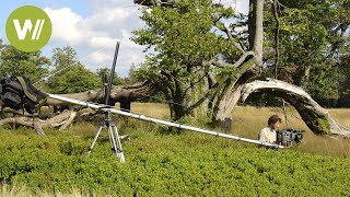 Bayerns neue Wildnis  Der Bayerische Wald  Europas Urwälder Folge 1 [upl. by Eetnahs]