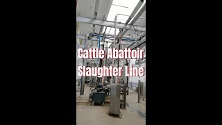 Modern Cattle Slaughterhouse Processing Plant Beef Production Factory Cow Abattoir Slaughter Line [upl. by Resneps]