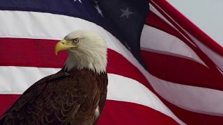 WAVING AMERICAN FLAG WITH BAD EAGLE [upl. by Ahsilrac]