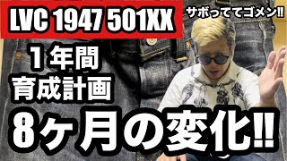 【LVC 1947 501XX 】糊付けデニム１年間育成計画‼︎８ヶ月の変化‼︎【サボっててゴメン‼︎】 [upl. by Oicnerolf]