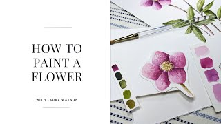 How to Paint a Watercolor Flower Easy [upl. by Obau826]