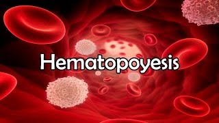 Hematopoyesis [upl. by Llertnek]