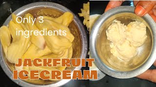 Jackfruit icecream in tamilpalapalam icecream recipe in tamiljackfruit recipes [upl. by Cleodell]