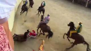 Palio di Siena 2016 crash [upl. by Masera]