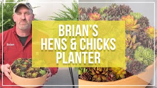 Brians Hens amp Chicks Planter  Plant Sempervivums [upl. by Goodson]