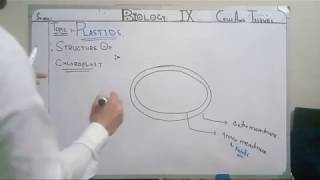 Biology Lecture 9 Grade 9 [upl. by Dion739]