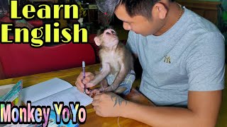 Monkey YoYo JR and Dad are learning English  Monkey Baby YoYo [upl. by Sussman]