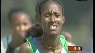 Triunfo de Gelete Burka y abandono de Tirunesh Dibaba Cto Mundo de Cross Corto Fukuoka 2006 [upl. by Shaper118]